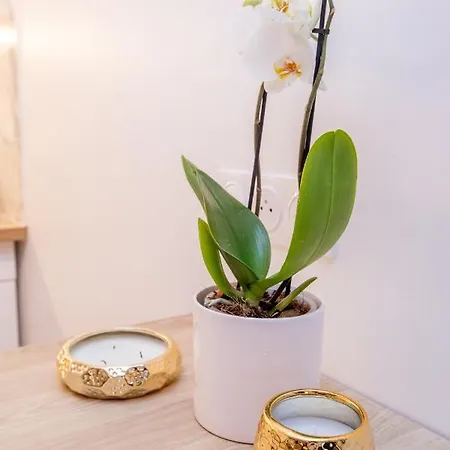 Luxueux 3p. Art Deco + Parking Cannes